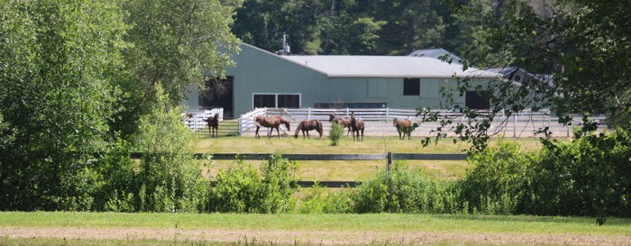 Rear view of Chrislar farm horse barn with horses grazing in meadow.